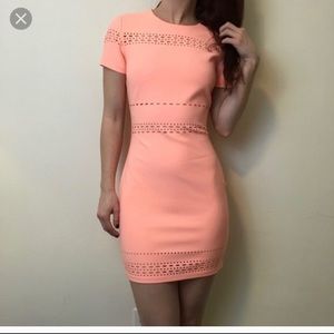 Elizabeth and James Ari Dress